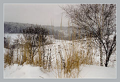 фото "Московская зима"