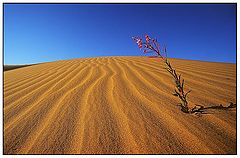 photo "Untitled photo"