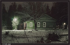 photo "Frosty Night"