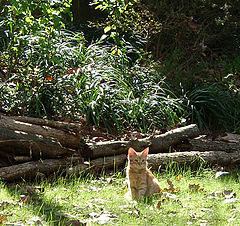 photo "Getting Warm In October"