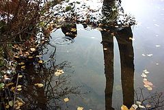 photo "Kaplya"