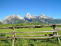 фото "A WESTERN KINDA DAY"