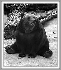 photo "The character of Russia"