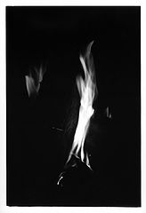 фото "it`s::a::f..."