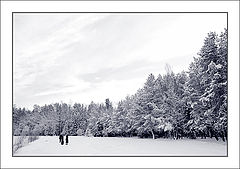 фото "-25c"