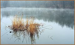 photo "Yellow on a background of water"