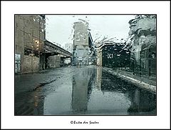 photo "Afeter the rain III"