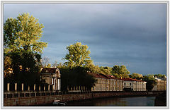 photo "Waiting for rain"