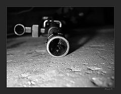 photo "Fighter`s friend - The Army seria"