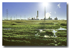 photo "Modern Times"