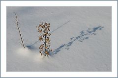 фото "2+2"