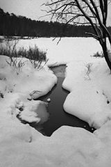 photo "Untitled photo"