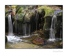 фото "Draining"