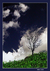 photo "Alone"