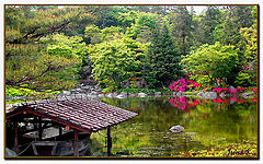 photo "Japanese Garden"