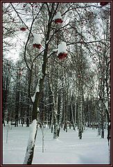 photo "white on red"