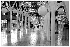 photo "Bridge II (bw)"
