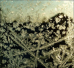 photo "Winter world"