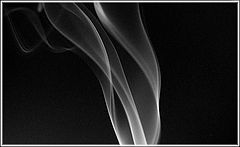photo "The smoke"