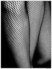 фото "The curve"