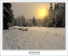 photo "Winter etude"