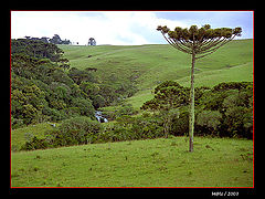 photo "Farm of Venancios"