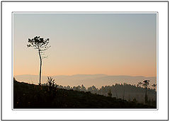 photo "Poem of the Rising Sun to the Motherland."