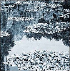 фото "impression"