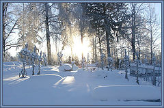 photo "..."
