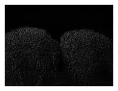 photo "night 11"