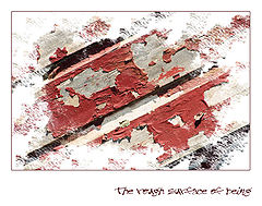 photo "The Rough Surface Of Being"