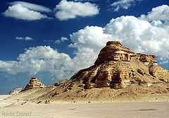 фото "Whales Valley"
