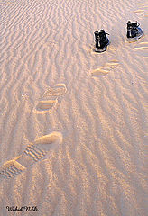 photo "Follow the invisible..."