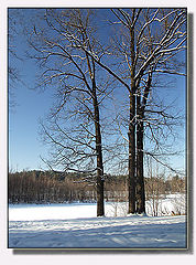 photo "Three sisters..."