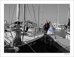 photo "Ready to take off"