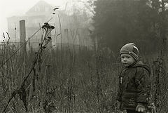 photo "On the road #4"