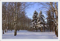фото "Зимний этюд"