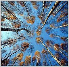 фото ""Сестры""