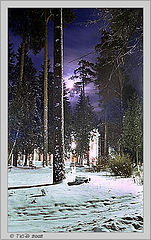 photo "Fairy Tale Told at Frosty Midnight"
