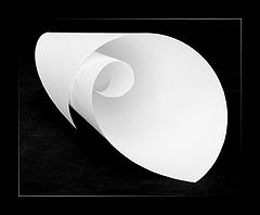 photo "Calla?"