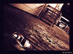 фото "* * *"