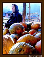 фото "Melons"
