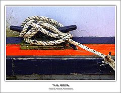 фото "The rope"