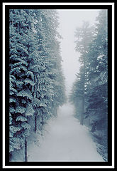 photo "Winter fog"