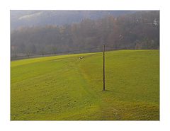 photo "The Pole"
