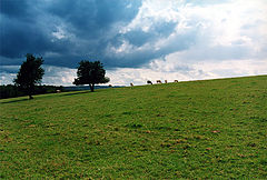 photo "Horizon"
