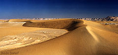 фото "Dunes"