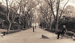 фото "Waiting"