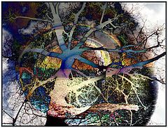 photo "Inside my mind: The Trees"