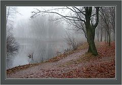 photo "Foggy morning"